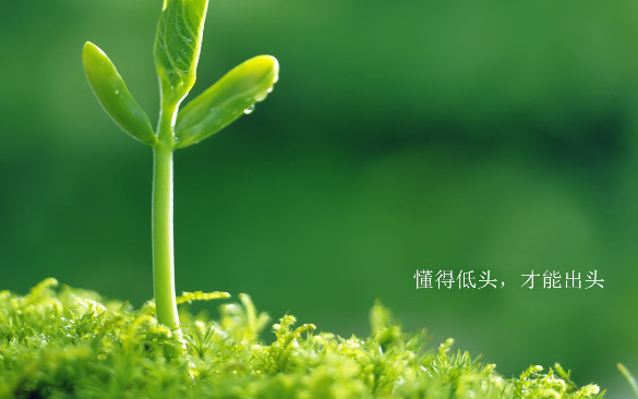 提升自己最快的方式是什么？